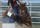 County Horse Show Held Last Saturday • Annual Fair This Weekend