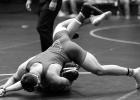 Three West Elk Wrestlers Competed At State Tournament • Koop Claimed Championship Honors In 165-Pound Weight Class